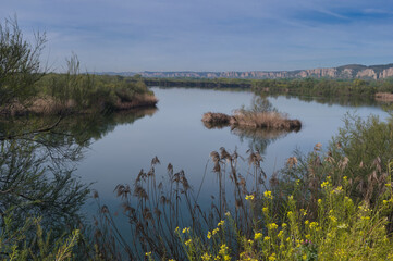landscape, view, nature, lake, morning, water, spain, plants, fl