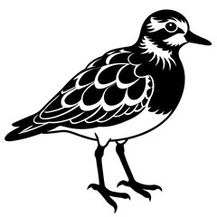 turnstone silhouette vector illustration,turnstone house,Cute cartoon turnstone characters,Holiday Silhouette,Hand drawn trendy Vector illustration,svg bat face