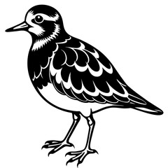 turnstone silhouette vector illustration,turnstone house,Cute cartoon turnstone characters,Holiday Silhouette,Hand drawn trendy Vector illustration,svg bat face