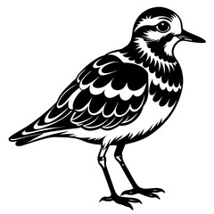 turnstone silhouette vector illustration,turnstone house,Cute cartoon turnstone characters,Holiday Silhouette,Hand drawn trendy Vector illustration,svg bat face