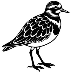 turnstone silhouette vector illustration,turnstone house,Cute cartoon turnstone characters,Holiday Silhouette,Hand drawn trendy Vector illustration,svg bat face