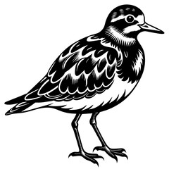 turnstone silhouette vector illustration,turnstone house,Cute cartoon turnstone characters,Holiday Silhouette,Hand drawn trendy Vector illustration,svg bat face