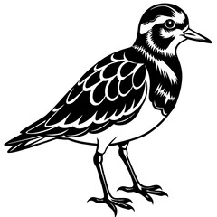 turnstone silhouette vector illustration,turnstone house,Cute cartoon turnstone characters,Holiday Silhouette,Hand drawn trendy Vector illustration,svg bat face