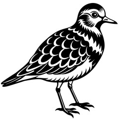 turnstone silhouette vector illustration,turnstone house,Cute cartoon turnstone characters,Holiday Silhouette,Hand drawn trendy Vector illustration,svg bat face