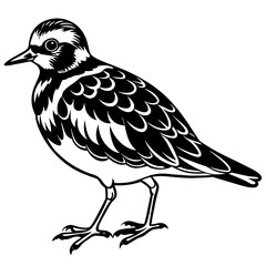 turnstone silhouette vector illustration,turnstone house,Cute cartoon turnstone characters,Holiday Silhouette,Hand drawn trendy Vector illustration,svg bat face