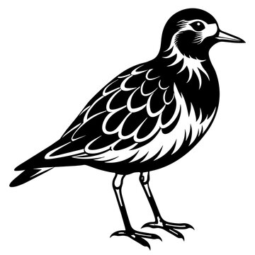 recommend clip art: turnstone silhouette vector illustration,turnstone house,Cute cartoon turnstone characters,Holiday Silhouette,Hand drawn trendy Vector illustration,svg bat face