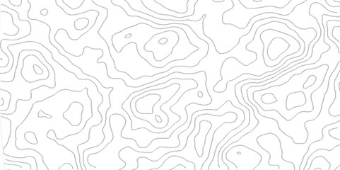 Topographic map and landscape terrain texture grid.  Modern design with White background with topographic wavy pattern design. abstract Vector Background, - obrazy, fototapety, plakaty