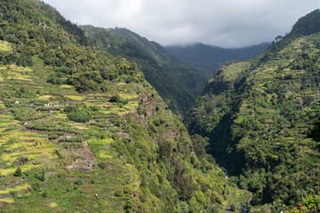Fototapeta na wymiar Tal der Ribeira da Ponta do Sol