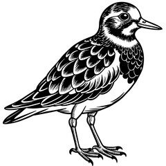 turnstone silhouette vector illustration,turnstone house,Cute cartoon turnstone characters,Holiday Silhouette,Hand drawn trendy Vector illustration,svg bat face