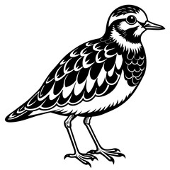 turnstone silhouette vector illustration,turnstone house,Cute cartoon turnstone characters,Holiday Silhouette,Hand drawn trendy Vector illustration,svg bat face
