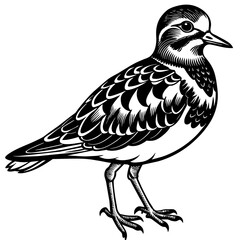 turnstone silhouette vector illustration,turnstone house,Cute cartoon turnstone characters,Holiday Silhouette,Hand drawn trendy Vector illustration,svg bat face