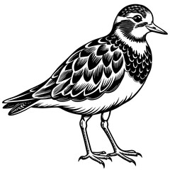 turnstone silhouette vector illustration,turnstone house,Cute cartoon turnstone characters,Holiday Silhouette,Hand drawn trendy Vector illustration,svg bat face