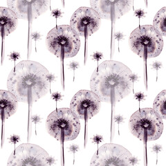 seamless pattern with watercolor monochrome silhouette herbs, sketch of blow boll, seeds of dandelion, summer meadow plants, wild field illustration white background for wedding decoration - obrazy, fototapety, plakaty