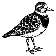 turnstone silhouette vector illustration,turnstone house,Cute cartoon turnstone characters,Holiday Silhouette,Hand drawn trendy Vector illustration,svg bat face