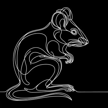 A rat in black and white with a lengthy tail and legs tucked up in a curled position. The style is outlined in lines.