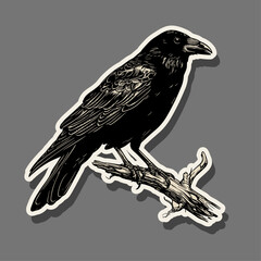 Fototapeta premium Raven black silhouette vector illustration isolated on white background Crow Flat Logo Icon Clipart sticker