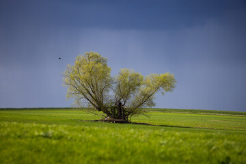Die Ruhe vor dem Sturm
