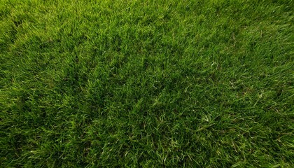 Green grass texture background, Top view of grass garden ideal concept used for making green flooring, lawn for training football pitch, Grass Golf Courses green lawn pattern texture