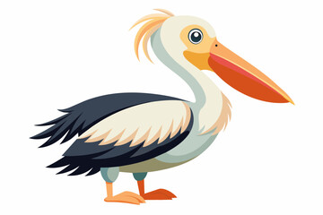 a pelican on white background 