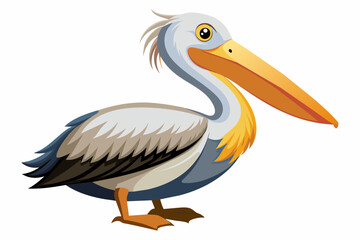a pelican on white background 
