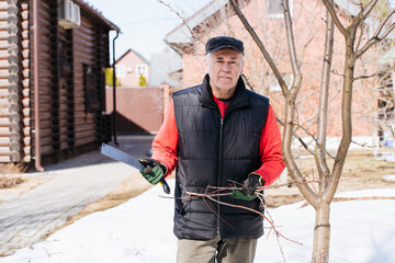 senior man in a vest, cap and gardening gloves saws off branches of a fruit tree in the garden in early spring. High quality photo