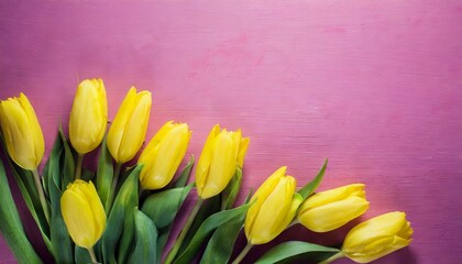 Pink background with yellow tulips