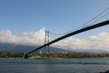 bridge over the river
