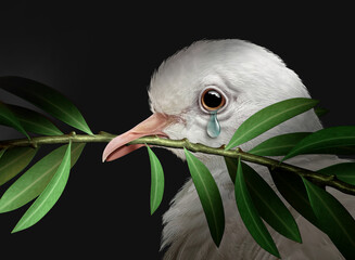 Failure of Diplomacy as failed peace talks resulting in the tragedy of war as a white dove with an olive branch crying with tears of sadness representing failed diplomatic efforst. - 777539345