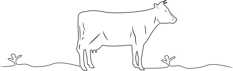 line art cow 