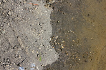wet and dry sand