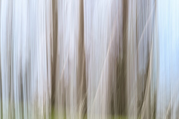 Fototapeta premium London, UK, 3 March 2024: Intentional camera movement ICM photo of a green forest on a sunny summer day. Blurred nature background concept 
