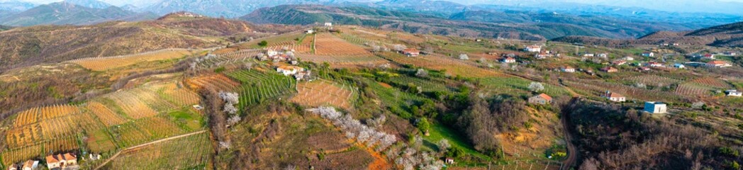 Aerial panoramic photo of vineyards in a remote village of northern Albania called Bukmire, in Mirdita region