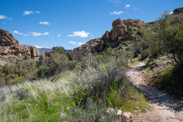 Beautiful desert view along the trail at the Boyce Thompson Arboretum in Arizona