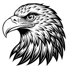 Obraz premium eagle-head- vector-design 