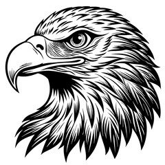 eagle-head- vector-design 