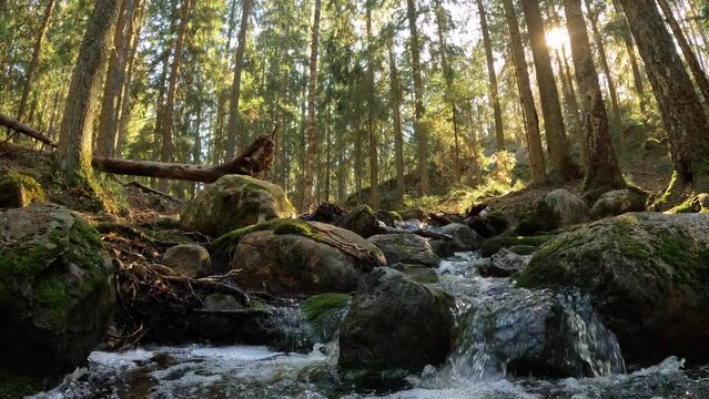Small crystal water cascading creek in Nuuksio National Park, Finland. Sunny summer day in forest. Beautiful spring water running in rocks. With the sounds of nature, the singing of birds, the murmur