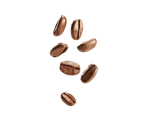 Falling roasted coffee beans isolated on transparent background