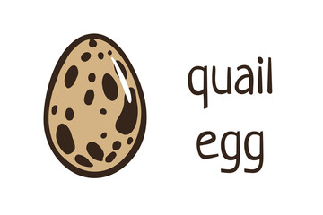 quail egg. Vector doodle cartoon illustration isolated on white background for easter poster, card,  farm products, menu, cookbook design, biological illustration