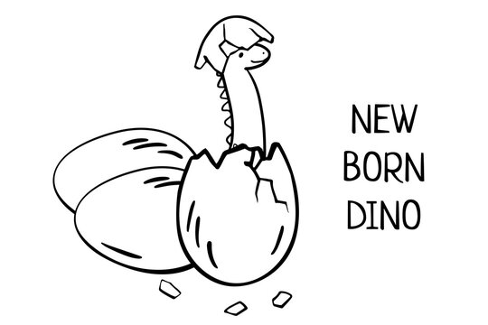 newborn dinosaur hatched from an egg.  cartoon diplodocus baby  dinosaur isolated on white for children's illustrations, print on T-shirt, poster in children's room, funny baby character,  Stickers