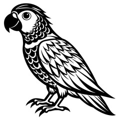 parrot vector design 