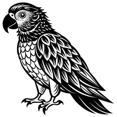parrot vector design 