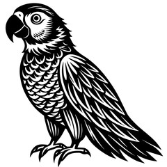 parrot vector design 