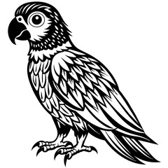 parrot vector design 