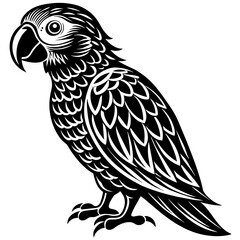 parrot vector design 