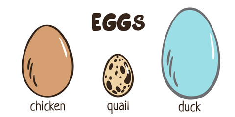 Eggs set. Chicken, quail, duck eggs. Different egg sizes collection. Bird, snake, turtle, dinosaur eggs. Vector design element for book illustration, poster, package design. Spotted, solid eggs