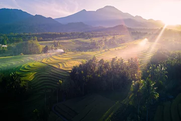 Foto op Canvas beautiful morning view from Indonesia of mountains and tropical forest © FaiV007