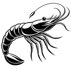 shrimp vector design 