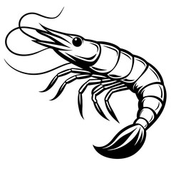 shrimp vector design 