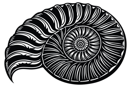 recommend clip art: ammonites vector