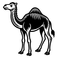 simple---camel 